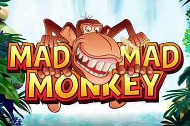 Mad Mad Monkey