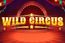 Wild Circus