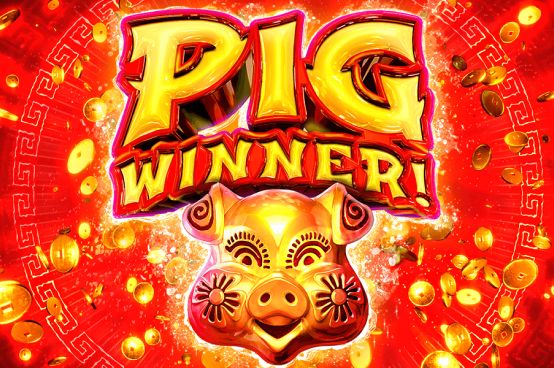 Pig Winner